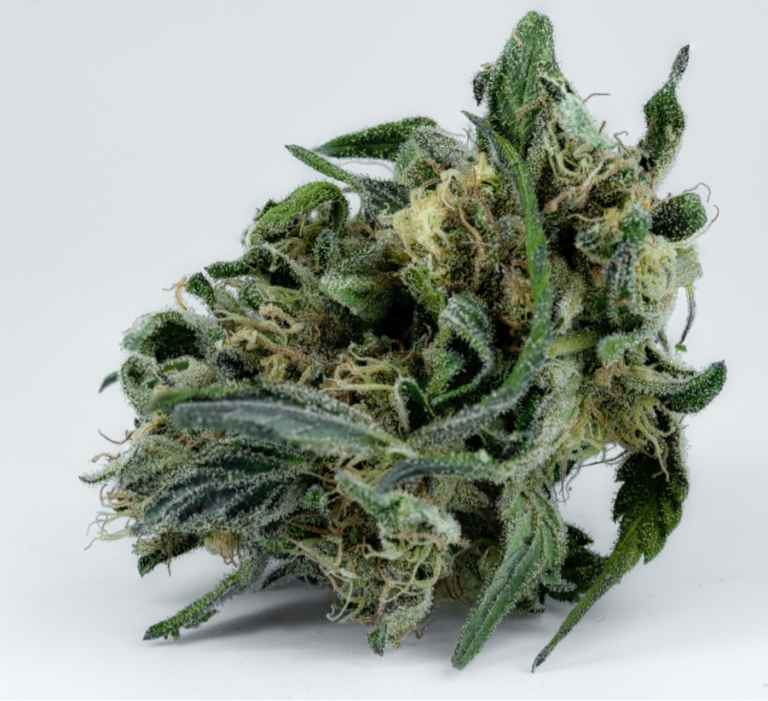 What Makes Black Magic Kush Different From The Crowd? 